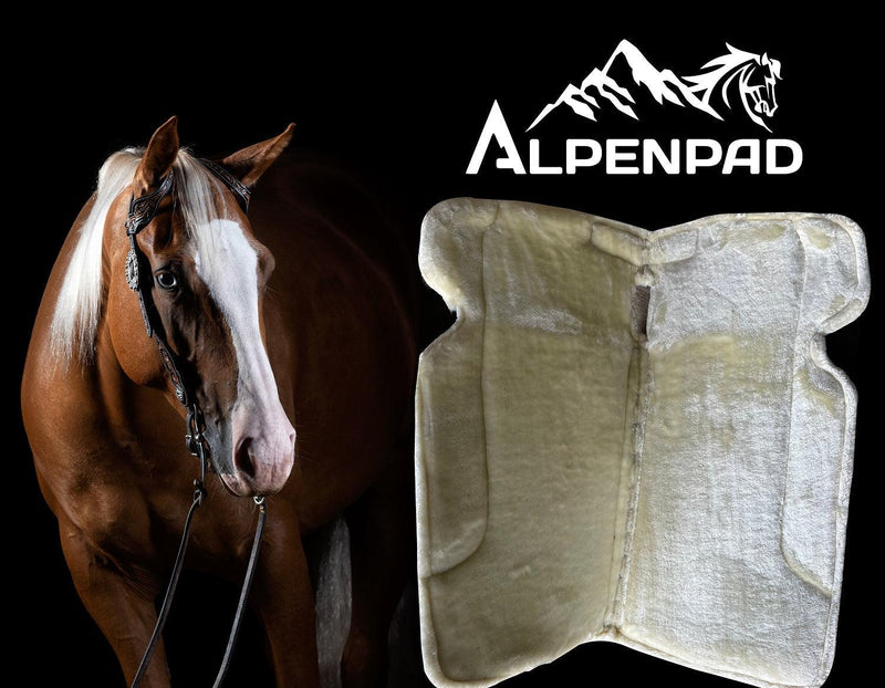 AlpenPad Comfort Line – Performance Filzpad mit Fellunterseite – Orange - Horse_Art_Bodensee